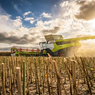 Claas Lexion wallpaper