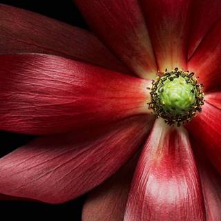 Dell XPS 15 wallpaper