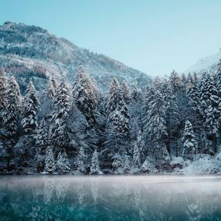Winter lake and mountain wallpaper