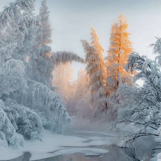 Winter 4k Windows wallpaper
