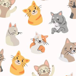 Cartoon cat spring wallpaper