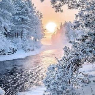 Landscape nature winter wallpaper
