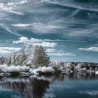 Landscape nature winter wallpaper