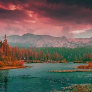 Winter 2736x1824 wallpaper