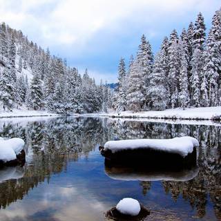Landscape nature winter wallpaper