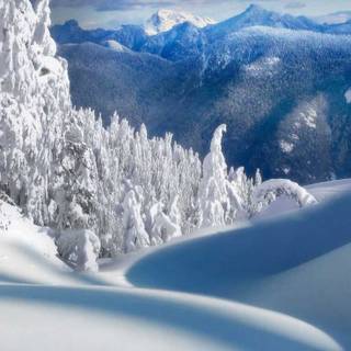 Landscape nature winter wallpaper