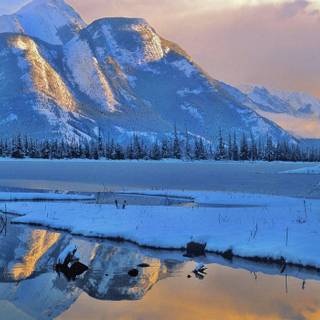 Landscape nature winter wallpaper