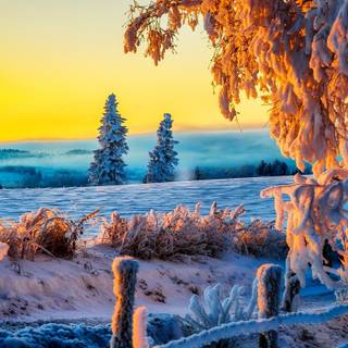Landscape nature winter wallpaper