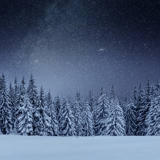 Winter 2736x1824 wallpaper