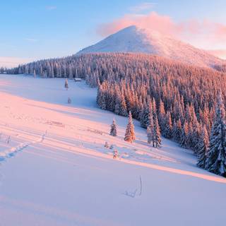Winter 4k Windows wallpaper