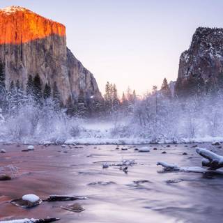 Winter 2736x1824 wallpaper