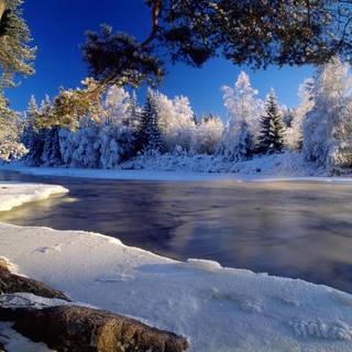 Landscape nature winter wallpaper