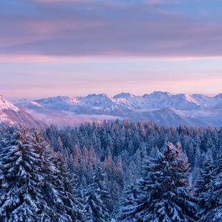 Winter 4k Windows wallpaper
