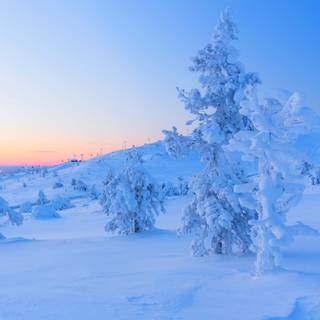 Winter 2736x1824 wallpaper