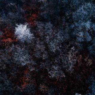 Winter 4k Windows wallpaper