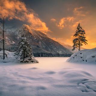 Winter 2736x1824 wallpaper