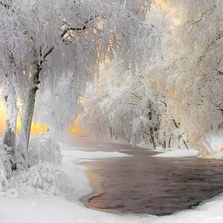 1920x1080 ice winter wallpaper