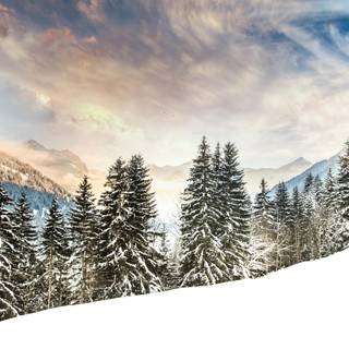 Winter 2736x1824 wallpaper