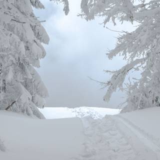 Winter 2736x1824 wallpaper