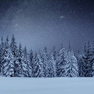 Night winter 1920x1080 wallpaper
