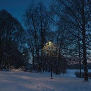 Night winter 1920x1080 wallpaper