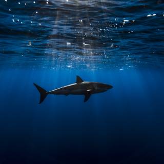 Blue ocean 4k wallpaper