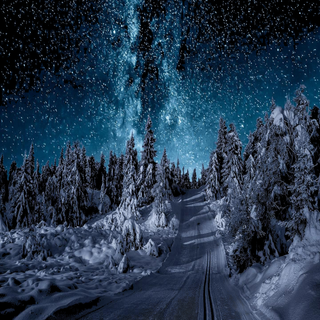 Starry night phone wallpaper