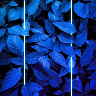 Neon blue iPhone wallpaper