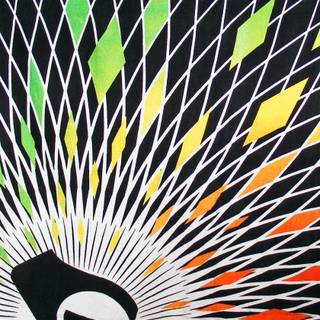 Volcom iPhone wallpaper