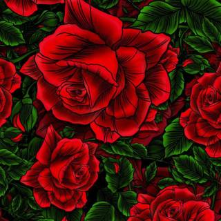 Red rose iPhone wallpaper