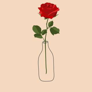 Red rose iPhone wallpaper