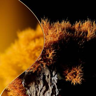 iPhone 11 Pro gold wallpaper