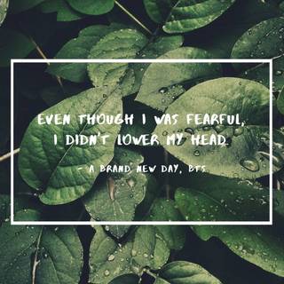 Lyrics laptop wallpaper