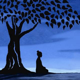 Bodhgaya Bodhi Tree wallpaper