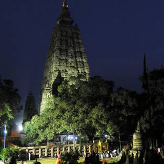 Bodhgaya Bodhi Tree wallpaper