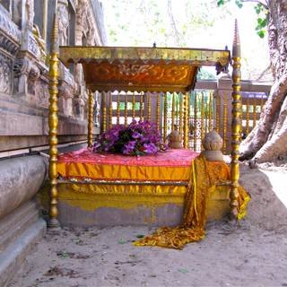 Bodhgaya Bodhi Tree wallpaper