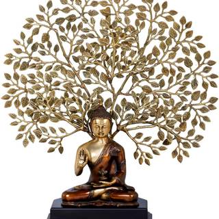 Bodhgaya Bodhi Tree wallpaper