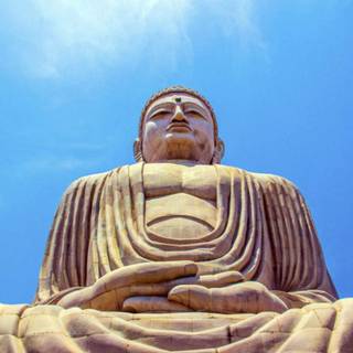 Bodhgaya Bodhi Tree wallpaper