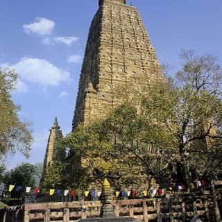 Bodhgaya Bodhi Tree wallpaper
