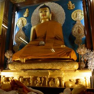 Bodhgaya Bodhi Tree wallpaper