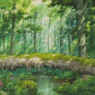 Spring Studio Ghibli wallpaper