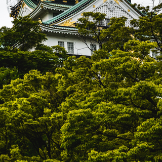 iPhone 11 Japan wallpaper