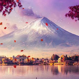 iPhone 11 Japan wallpaper