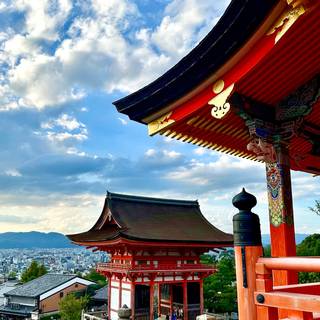 iPhone 11 Japan wallpaper