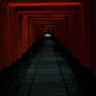 iPhone 11 Japan wallpaper