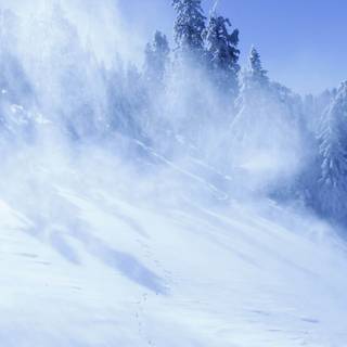 Misty winter day wallpaper