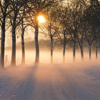 Misty winter day wallpaper