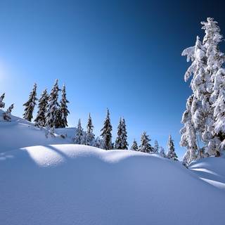 Winter 2048x1152 wallpaper