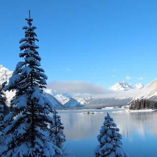 Winter 2048x1152 wallpaper