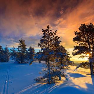 Winter 2048x1152 wallpaper